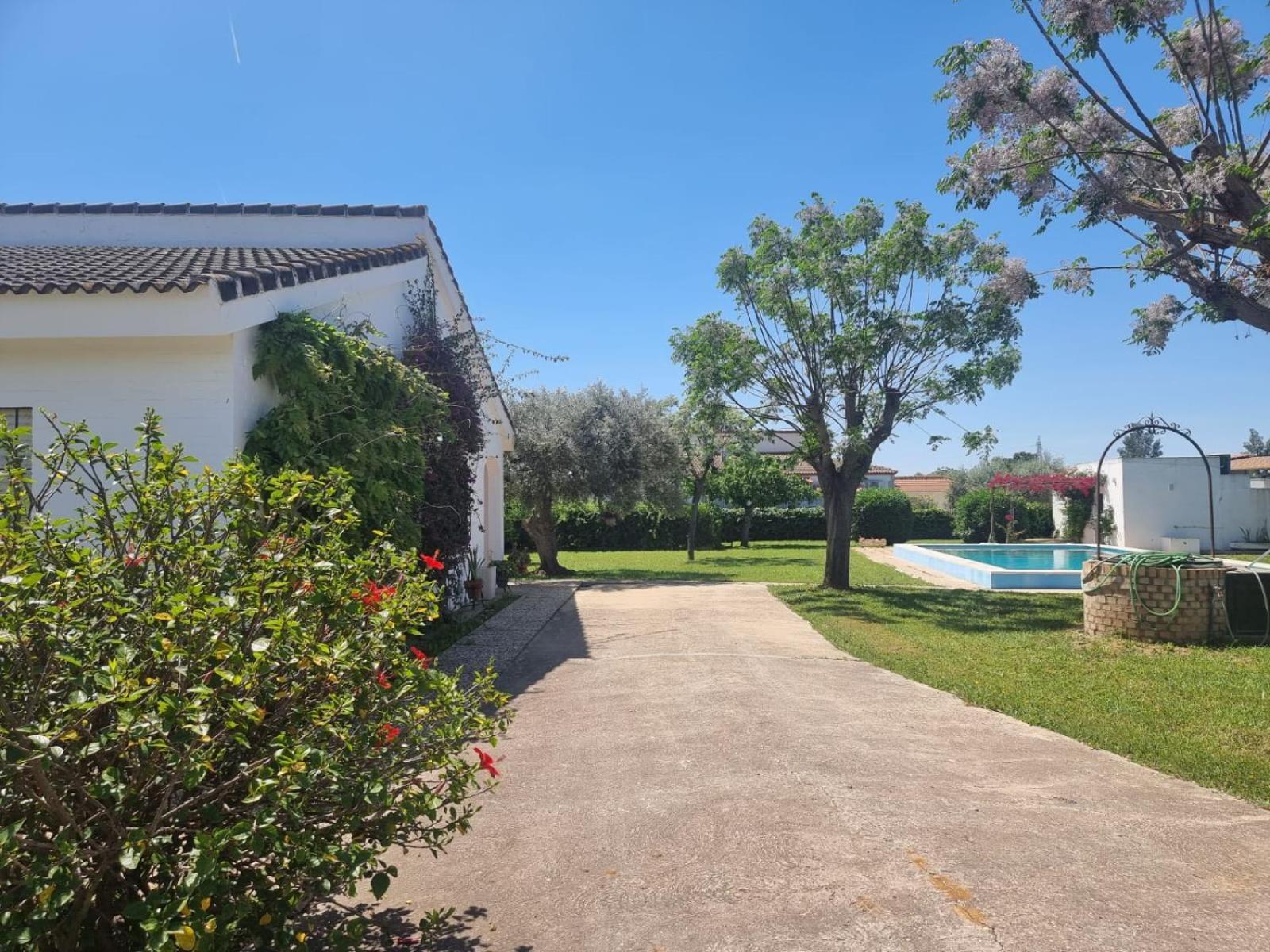 Casa En El Campo Cerca De Sevilla La Rinconada المظهر الخارجي الصورة