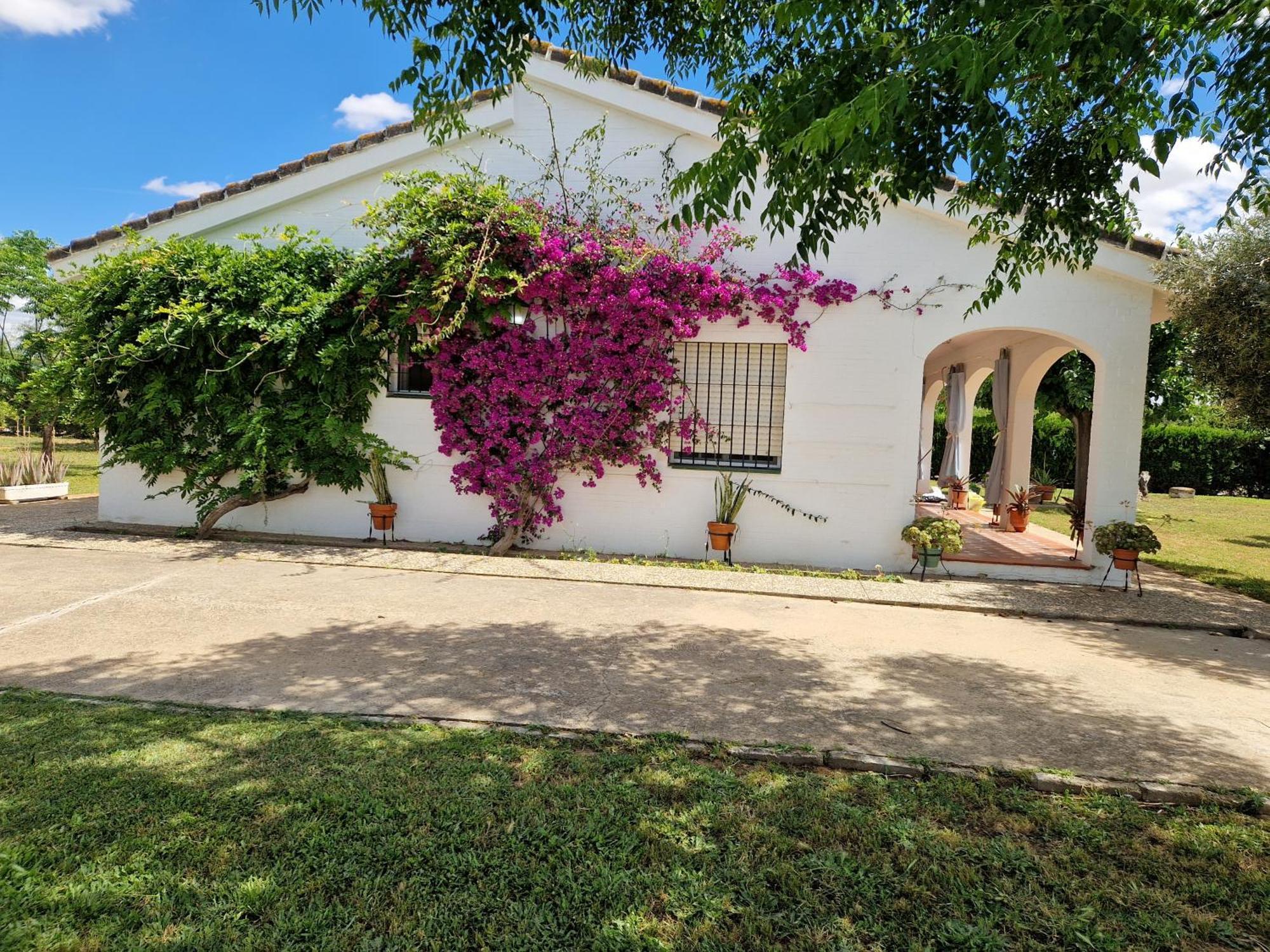Casa En El Campo Cerca De Sevilla La Rinconada المظهر الخارجي الصورة